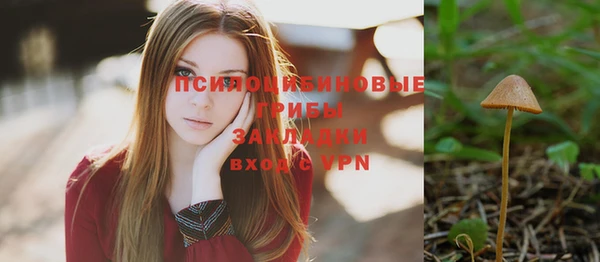 герыч Тында